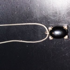 Beautiful silver turtle necklace from Express